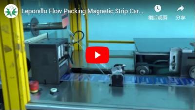 Leporello Flow Packing Magnético Strip Card 2