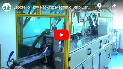Leporello Flow Packing Magnético Strip Card 1