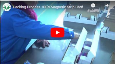 Cartão de Faixa Magnética do Processo 100